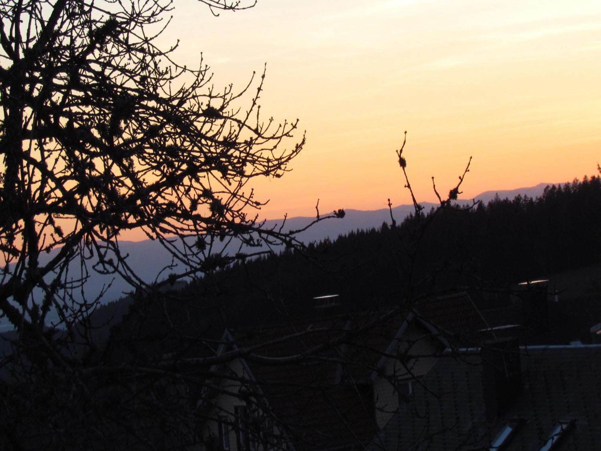 Hirschenhaeusle Apartamento Sankt Märgen Exterior foto